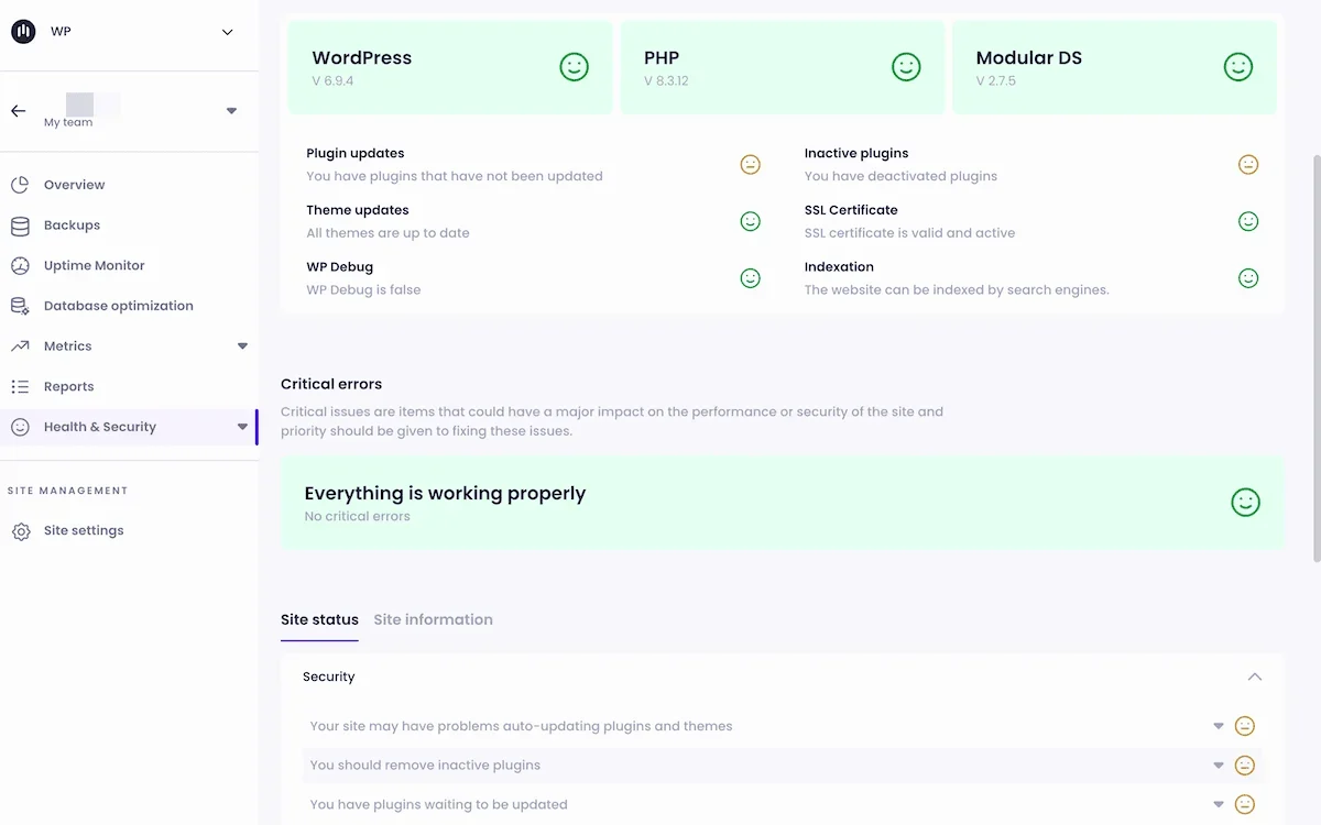 A Modular DS updates screen showing various plugins, themes, and core updates.