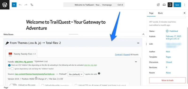 asset cleanup options in wordpress editor