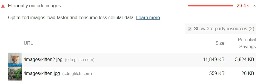 The "Efficiently encode images" issue as shown in PageSpeed Insights from Google.