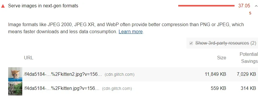 The "Serve images in next-gen formats" issue as shown in PageSpeed Insights from Google.