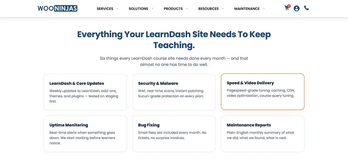 WooNinjas 评测:专注 WooCommerce 与 LearnDash 的维护服务