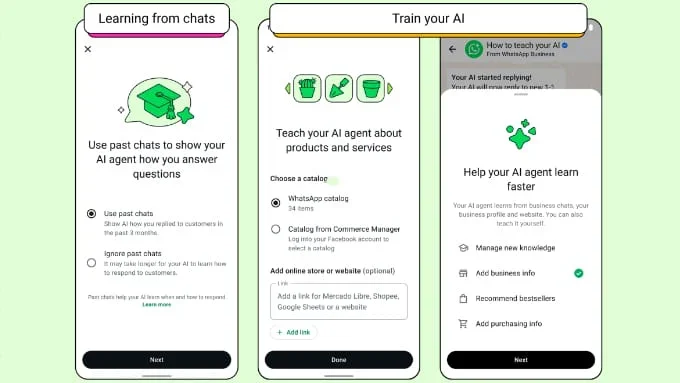 Setting Up the WhatsApp Business App